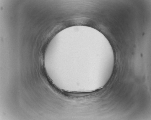 X0000054430021200508262359