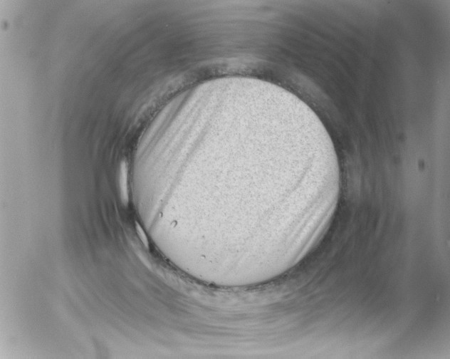 X0000054430022200508262359