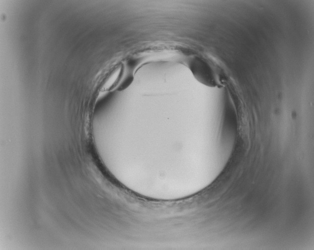 X0000054430023200508262359