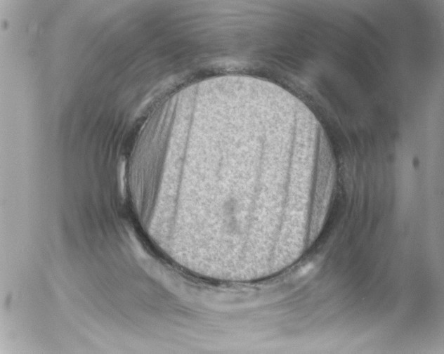 X0000054430024200508262359