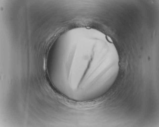 X0000054430027200508262359