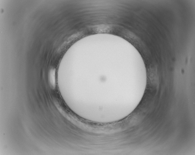 X0000054430028200508262359