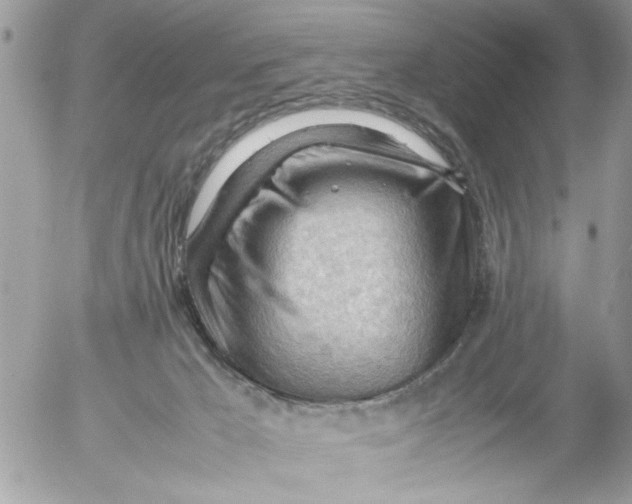 X0000054430029200508262359