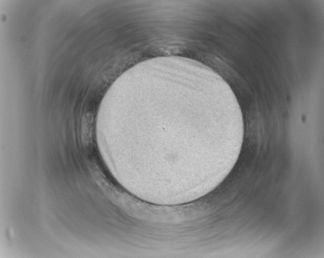 X0000054430030200508262359