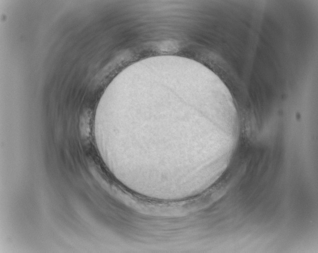 X0000054430032200508262358