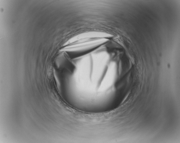 X0000054430033200508262358