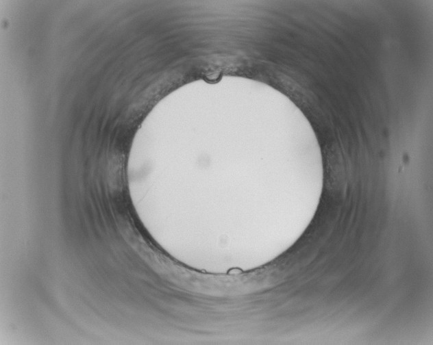 X0000054430034200508262358