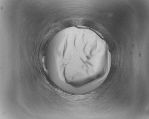 X0000054430035200508262358