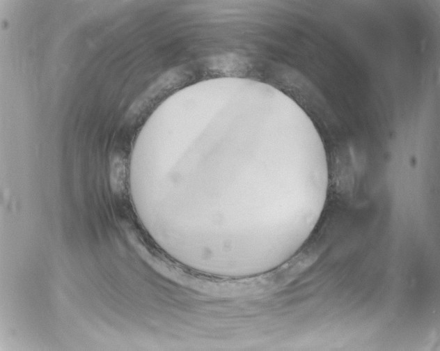 X0000054430036200508262358