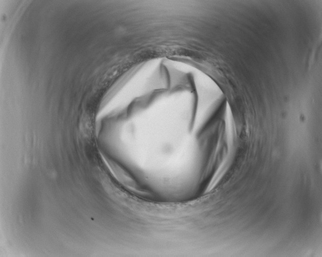 X0000054430037200508262358