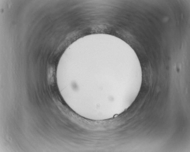 X0000054430038200508262358