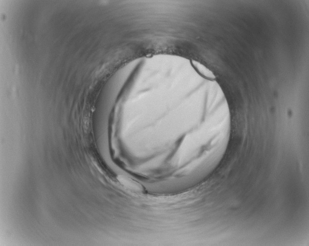 X0000054430039200508262358