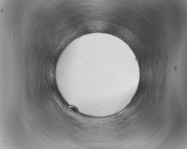 X0000054430040200508262358