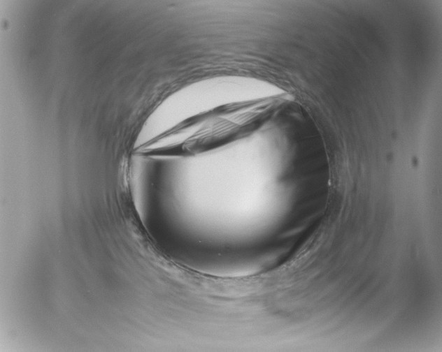 X0000054430041200508262358