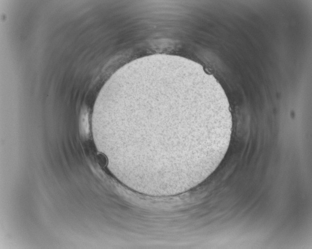 X0000054430042200508262358