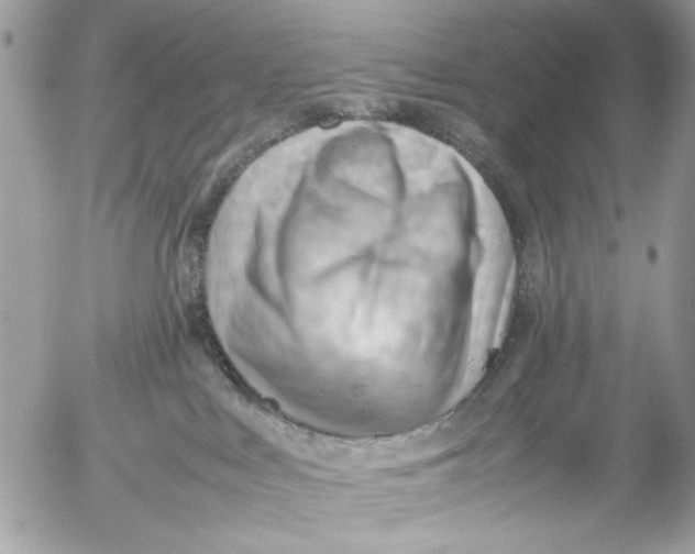 X0000054430043200508262358