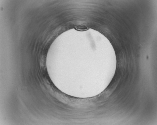 X0000054430044200508262358