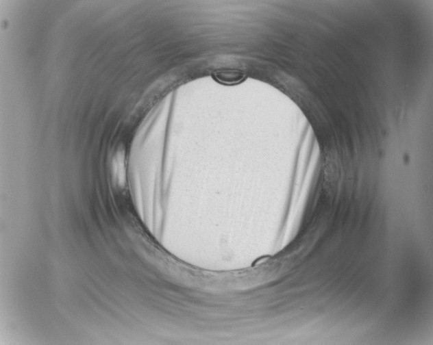 X0000054430046200508262358