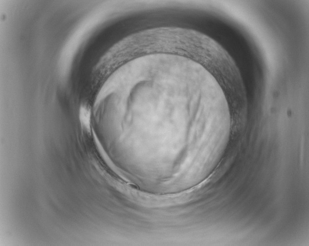 X0000054430047200508262358