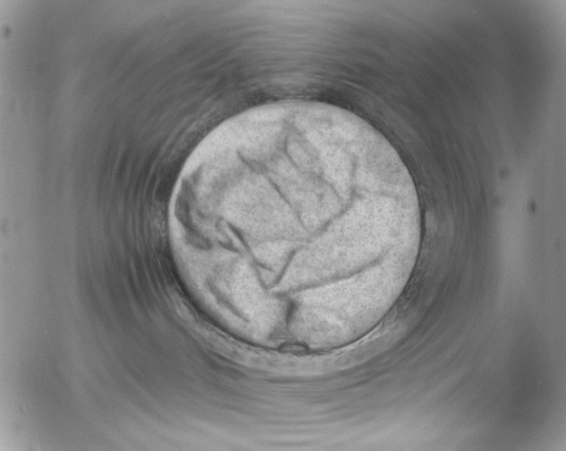 X0000054430048200508262358