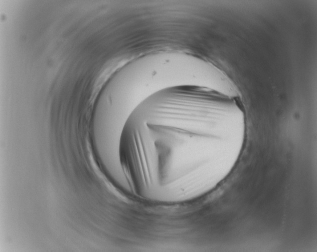 X0000054430049200508262357