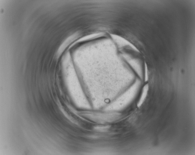 X0000054430051200508262357