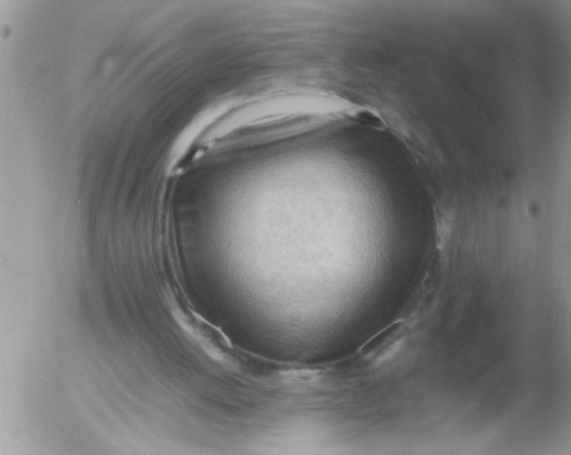 X0000054430052200508262357