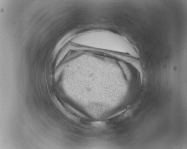 X0000054430053200508262358