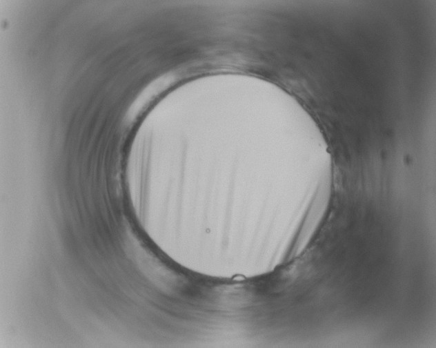 X0000054430054200508262358