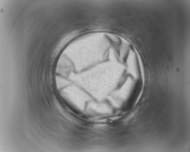 X0000054430055200508262358