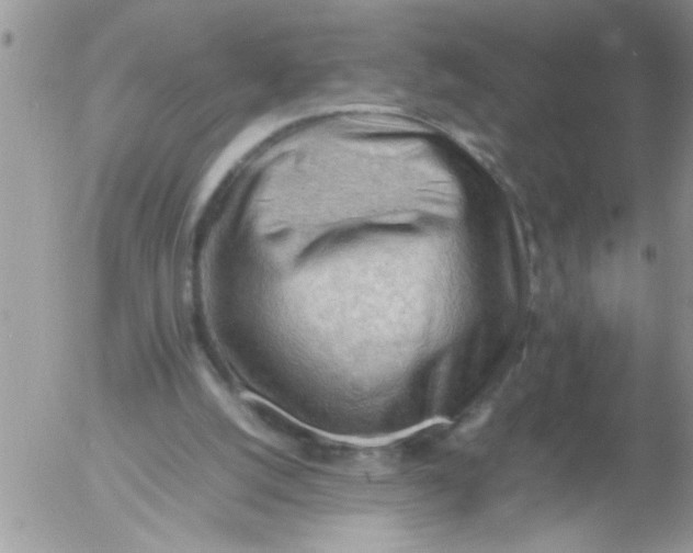 X0000054430056200508262358