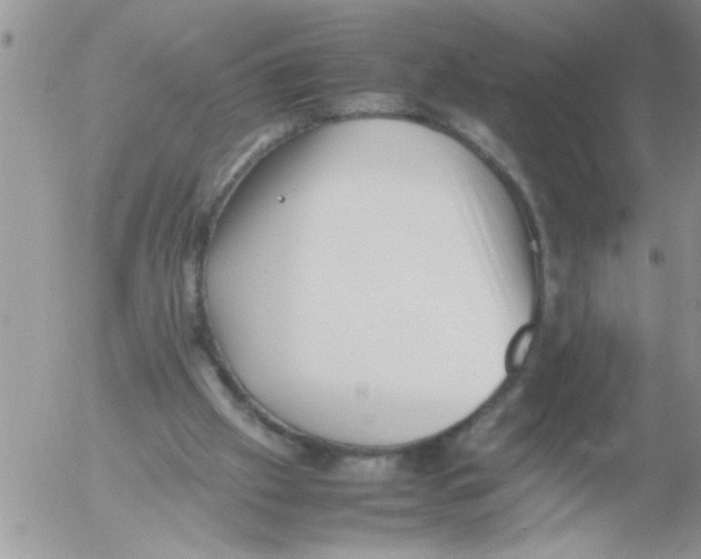 X0000054430057200508262358