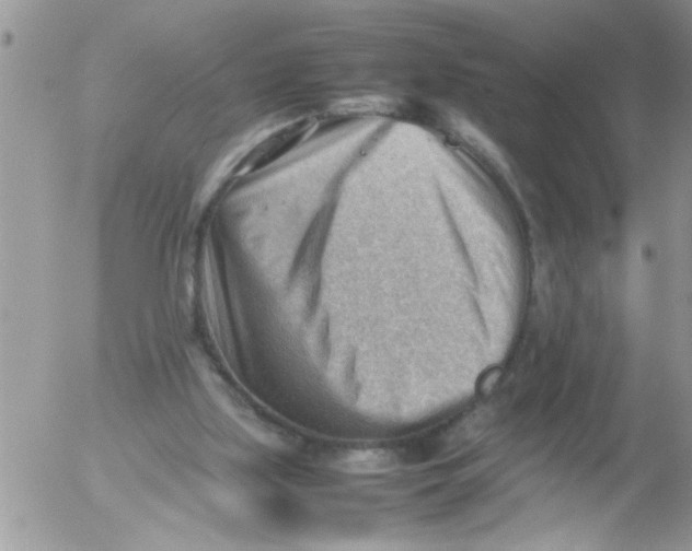 X0000054430059200508262358