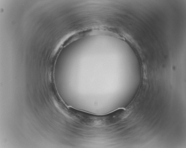 X0000054430060200508262358