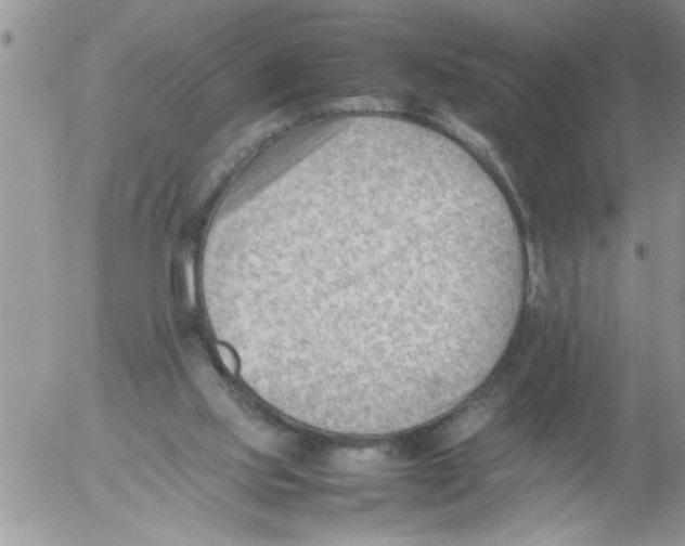 X0000054430061200508262358