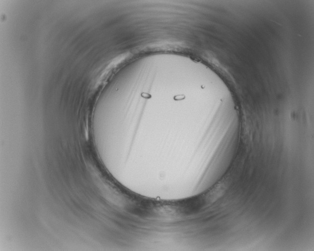 X0000054430062200508262358