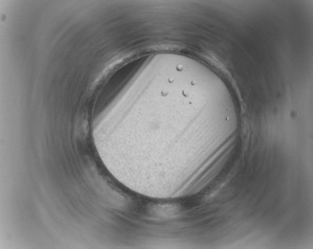 X0000054430063200508262358