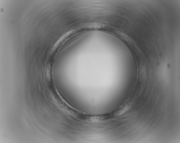 X0000054430064200508262358