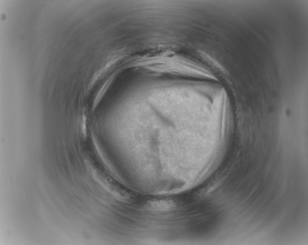 X0000054430067200508262358