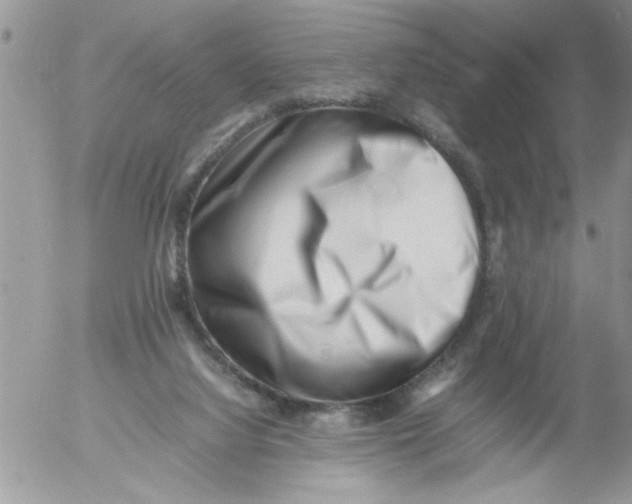 X0000054430068200508262358