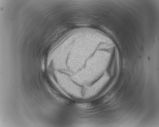 X0000054430069200508262358