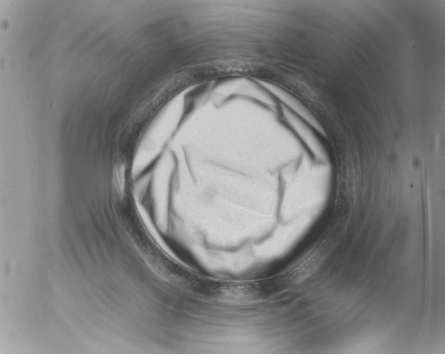 X0000054430070200508262358