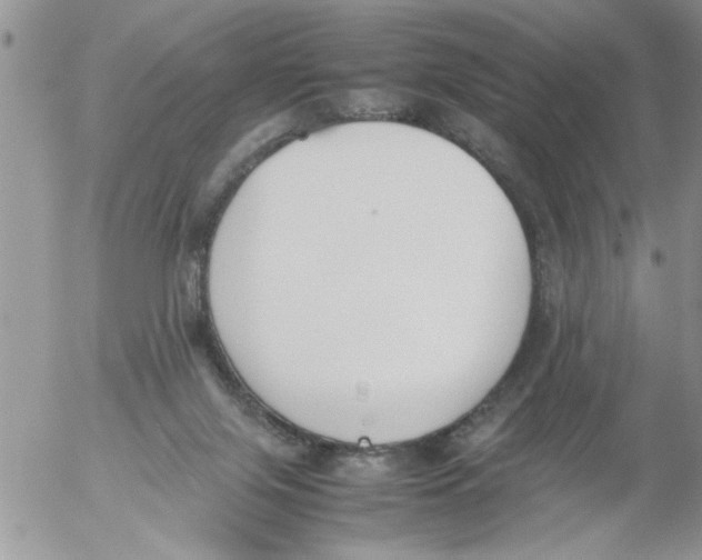 X0000054430071200508262358