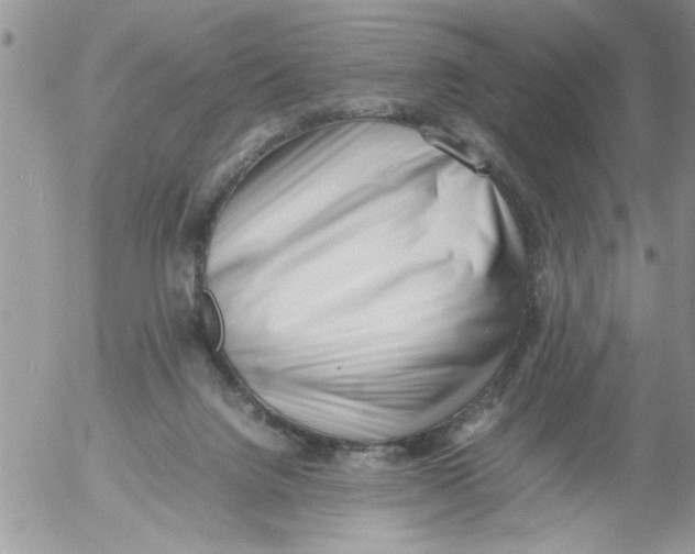 X0000054430072200508262358