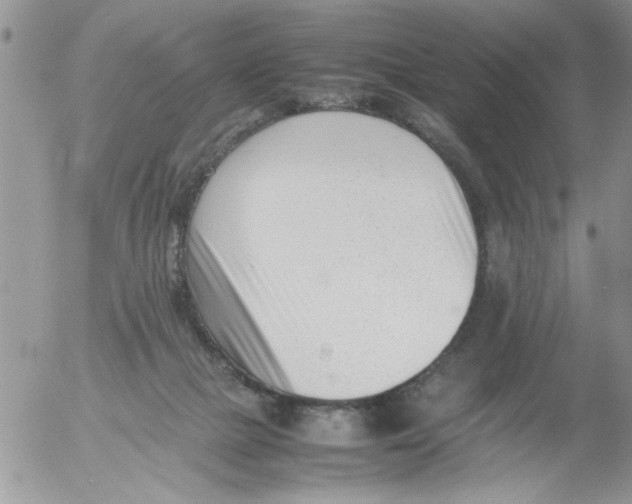 X0000054430073200508262358