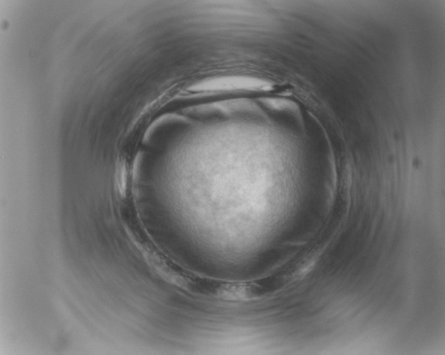 X0000054430076200508262358