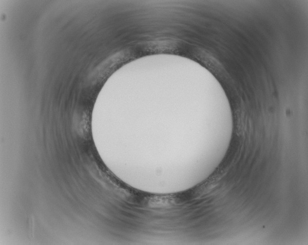 X0000054430077200508262358