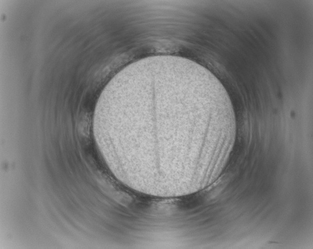 X0000054430078200508262358