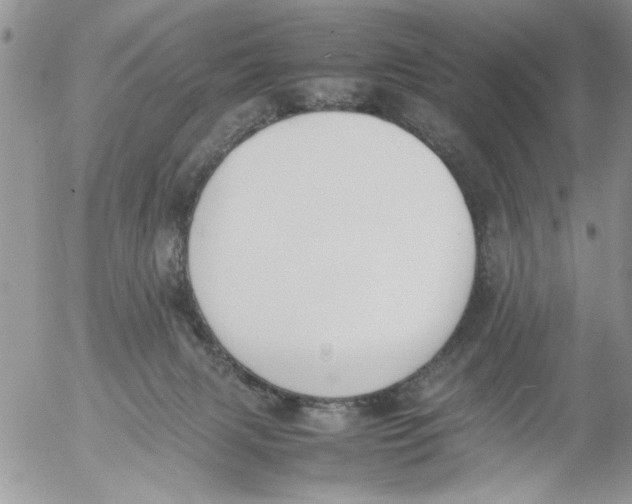 X0000054430079200508262358