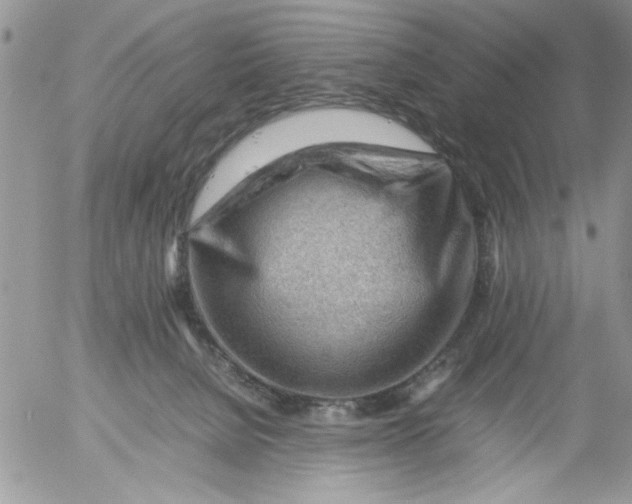 X0000054430080200508262358